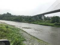 秩父フライフィールド 釣果