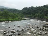 秩父フライフィールド 釣果