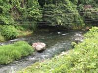 秩父フライフィールド 釣果