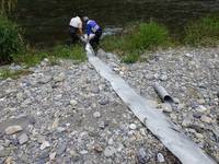 秩父フライフィールド 釣果