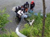 秩父フライフィールド 釣果