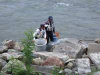 秩父フライフィールド 釣果