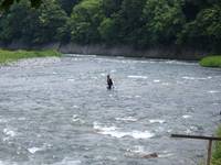 秩父フライフィールド 釣果