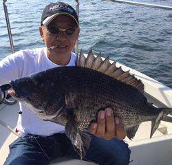 Ｒｕｓｈ（ラッシュ） 釣果