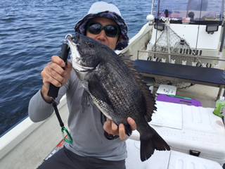 Ｒｕｓｈ（ラッシュ） 釣果