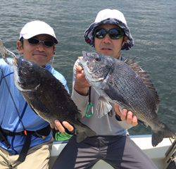 Ｒｕｓｈ（ラッシュ） 釣果