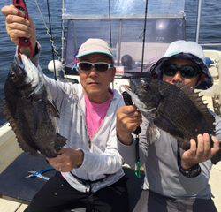 Ｒｕｓｈ（ラッシュ） 釣果