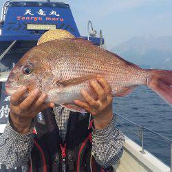 天竜丸 釣果