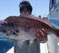 かねい丸 釣果