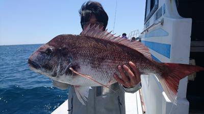 かねい丸 釣果