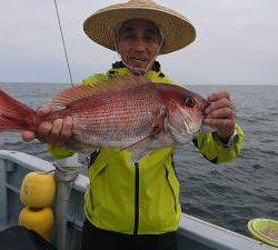 かねい丸 釣果