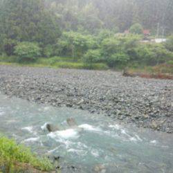 安倍川・藁科川（安倍藁科川漁業協同組合） 釣果