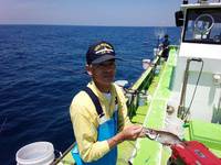 なごみ船 釣果
