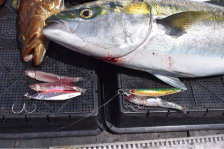 渡船屋たにぐち 釣果