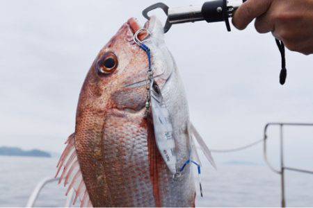 渡船屋たにぐち 釣果