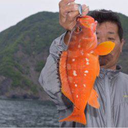 渡船屋たにぐち 釣果