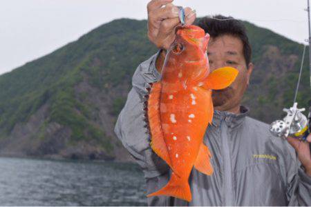 渡船屋たにぐち 釣果