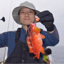 渡船屋たにぐち 釣果