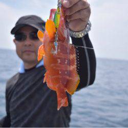 渡船屋たにぐち 釣果