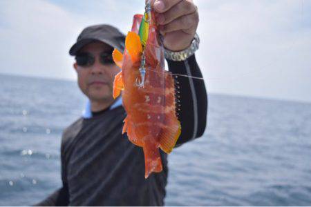 渡船屋たにぐち 釣果