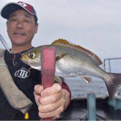 渡船屋たにぐち 釣果