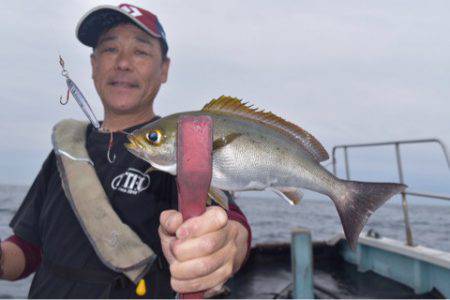 渡船屋たにぐち 釣果