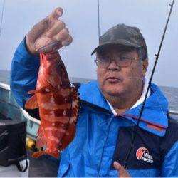 渡船屋たにぐち 釣果