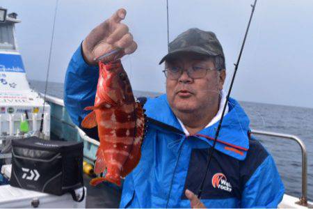 渡船屋たにぐち 釣果