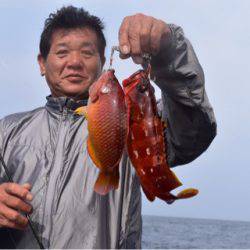 渡船屋たにぐち 釣果