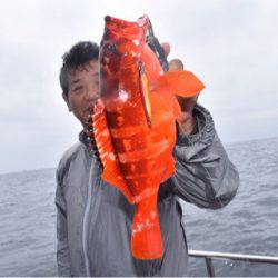 渡船屋たにぐち 釣果