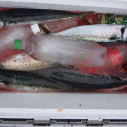 渡船屋たにぐち 釣果