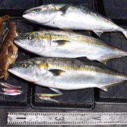 渡船屋たにぐち 釣果