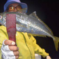 渡船屋たにぐち 釣果