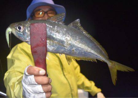 渡船屋たにぐち 釣果