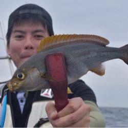 渡船屋たにぐち 釣果