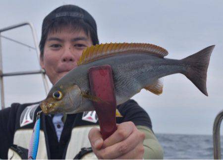 渡船屋たにぐち 釣果