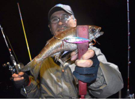 渡船屋たにぐち 釣果