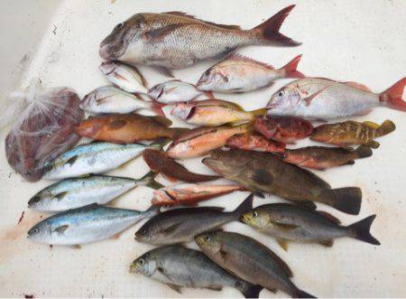 「LaGooN」蒼陽丸 日和号　 釣果