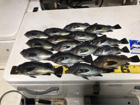 Monster Rush! 釣果