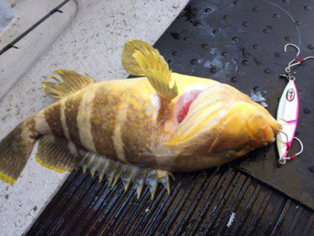 第二龍勢丸 釣果