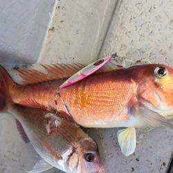 第二龍勢丸 釣果