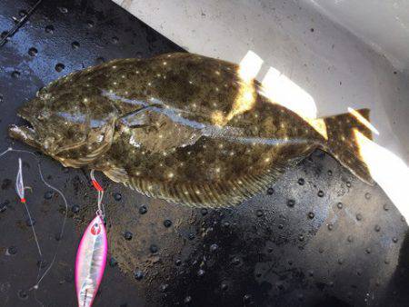 第二龍勢丸 釣果