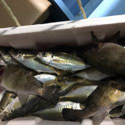 ヤザワ渡船 釣果