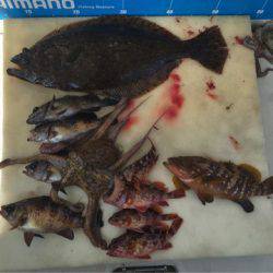 末広丸(熊本) 釣果