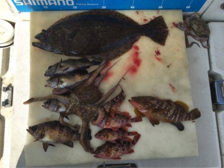 末広丸(熊本) 釣果