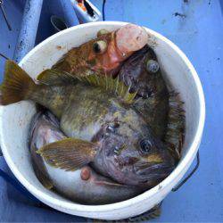 第二　つれたか丸 釣果