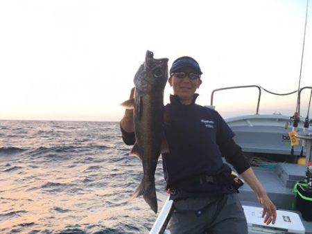 ＴＡＲＯＭＡＲＵ 釣果