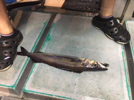 ＴＡＲＯＭＡＲＵ 釣果