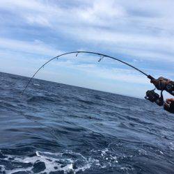 ＴＡＲＯＭＡＲＵ 釣果