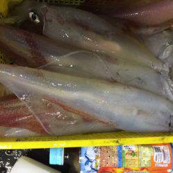 第二龍勢丸 釣果